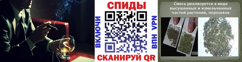 Бутират буратино Кольчугино
