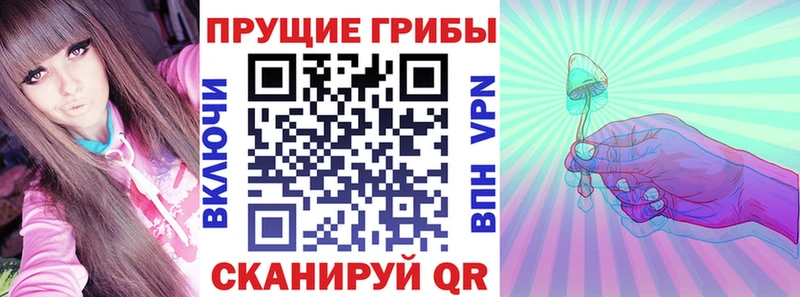 Псилоцибиновые грибы прущие грибы  где продают   Кольчугино 